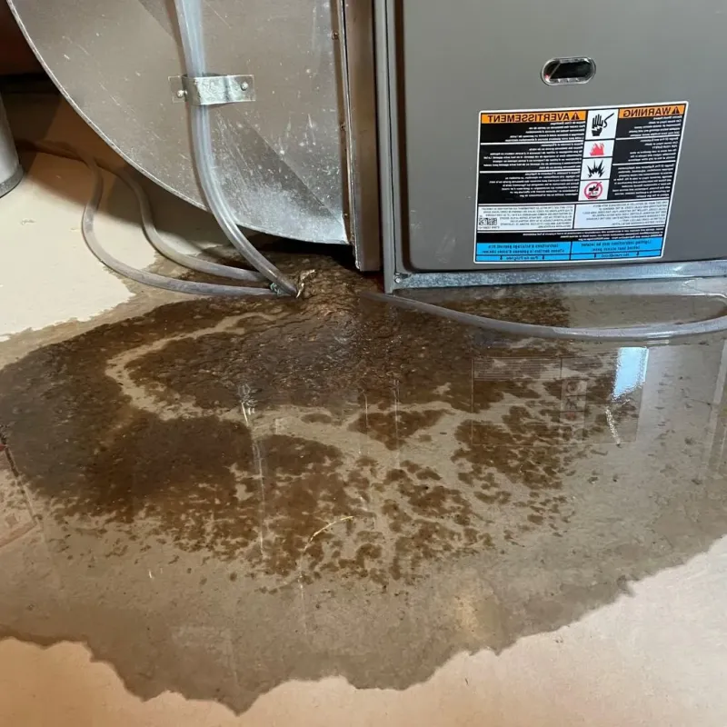 Pipe Burst and Leak Restoration in Carter County, KY