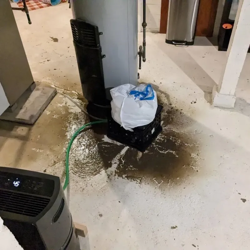 Sewage Backup Cleanup Service in Carter County, KY
